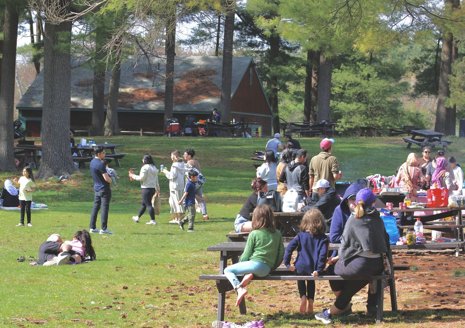 Families and neighbours gathered around picnic tables under tall trees on a sunny day, with children playing on the grass